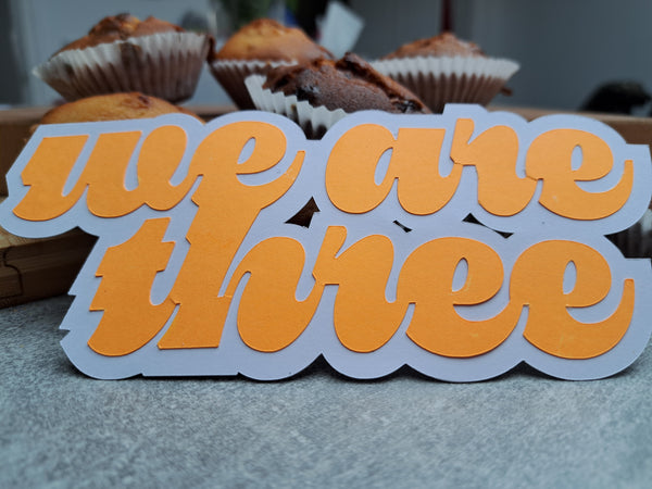 We are "age" - Twin cake topper