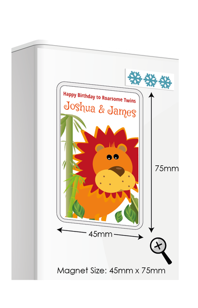 Personalised Twin Gifts, Twin Birthday Gifts, Personalised Fridge Magnets, Twin Birthday Gift, Personalised Twin Birthday Card