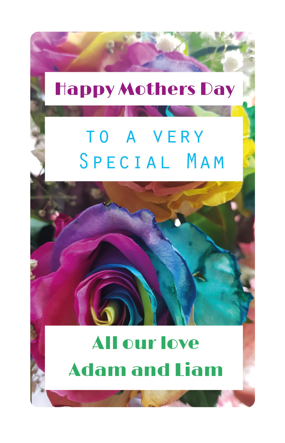 Mothers Day Card form the children, Mothers Day Card, Personalised Mothers day card, Personalised Twin Cards, Twin Greeting Card, Twin birthday card, Mummy card,