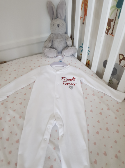 Born Together Friends Forever Babygrow Set - Twin Baby Clothes